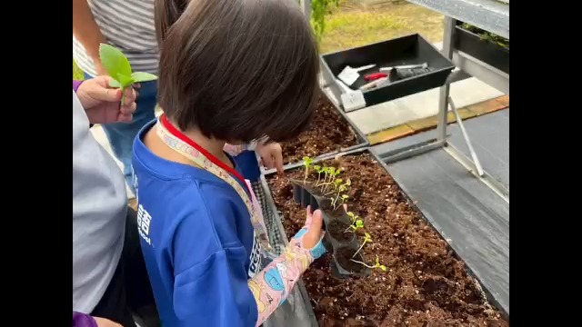 集合啦!最強小農夫換你當!- 任務成功全紀錄影片來囉!🎥
